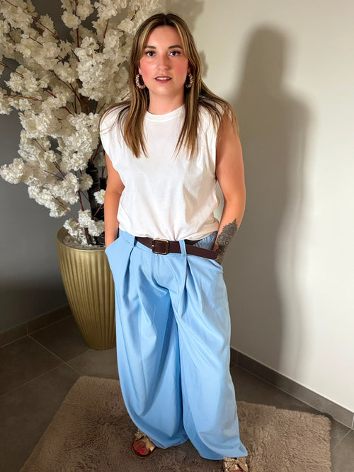 Baby Blue Wide Leg Pants